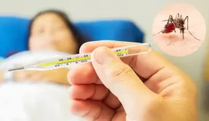 Checking body temperature with a thermometer to monitor fever from a mosquito bite