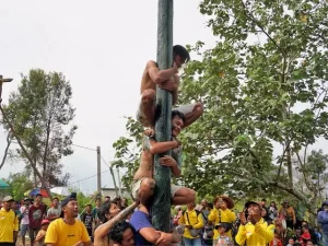 Men climbing a greased pole together during panjat pinang competition