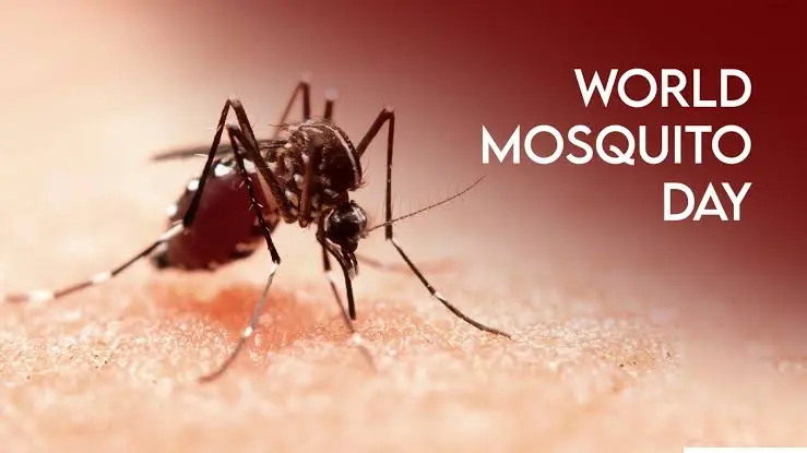 Close-up of a mosquito biting skin with World Mosquito Day text